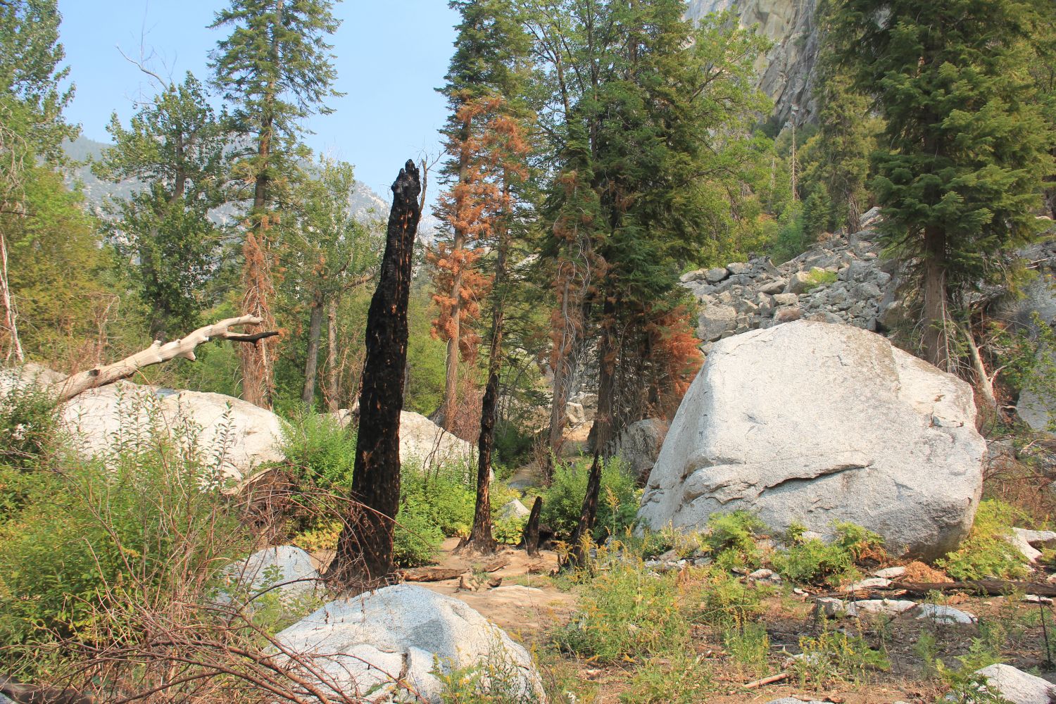 Zumwalt Meadows Trail 